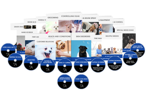 Complete Dog Grooming E-Course